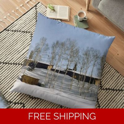 Floor Pillow Case Building Lake Perry Winter
